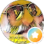 Joe Kamish Avatar